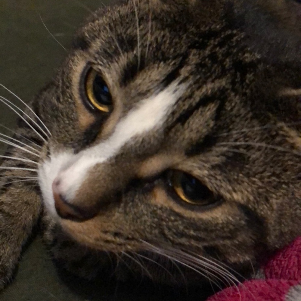 Meet your Posher, Maria de lourdes